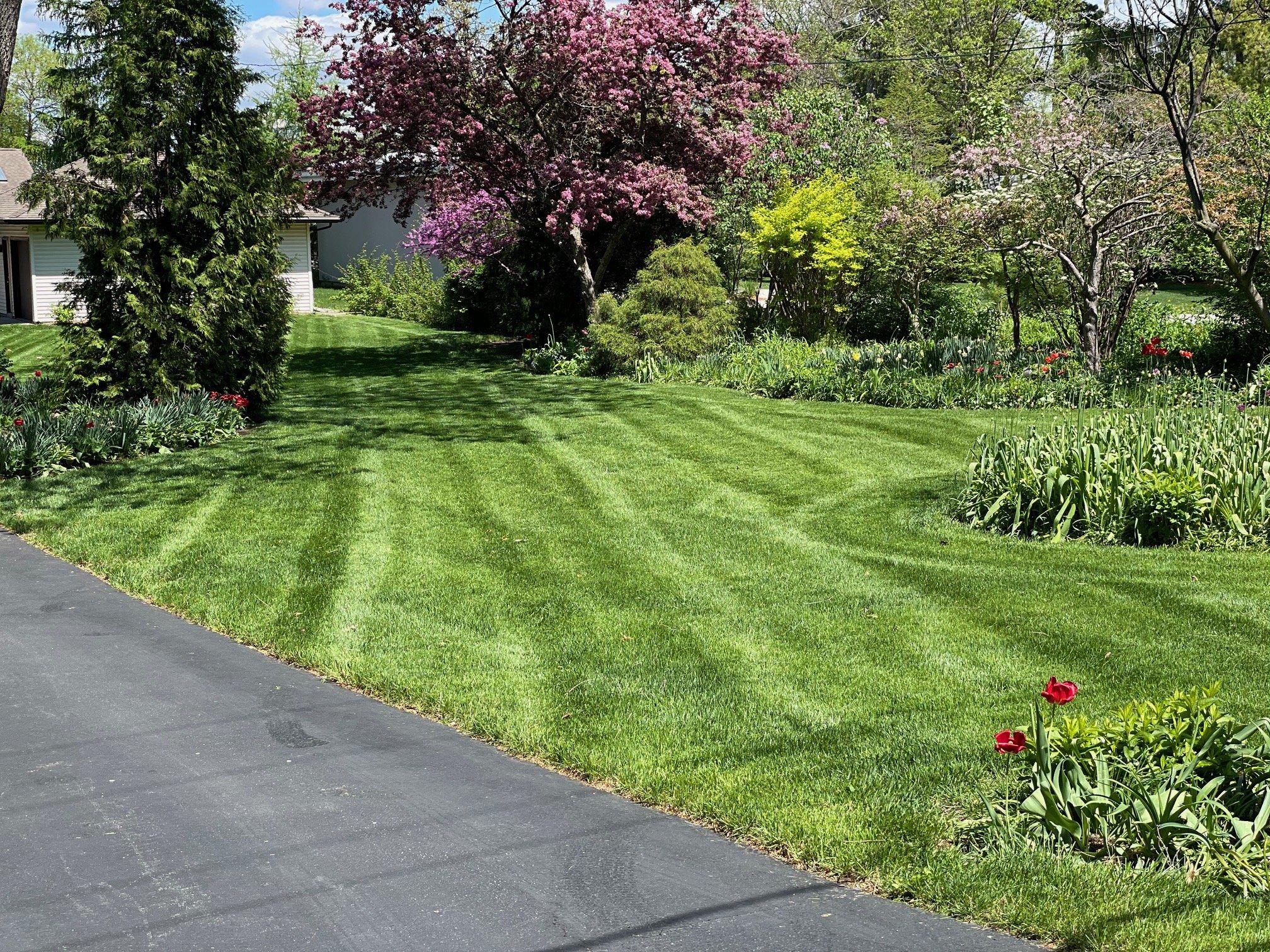 Keeping your lawn healthy and vibrant with eco-friendly care