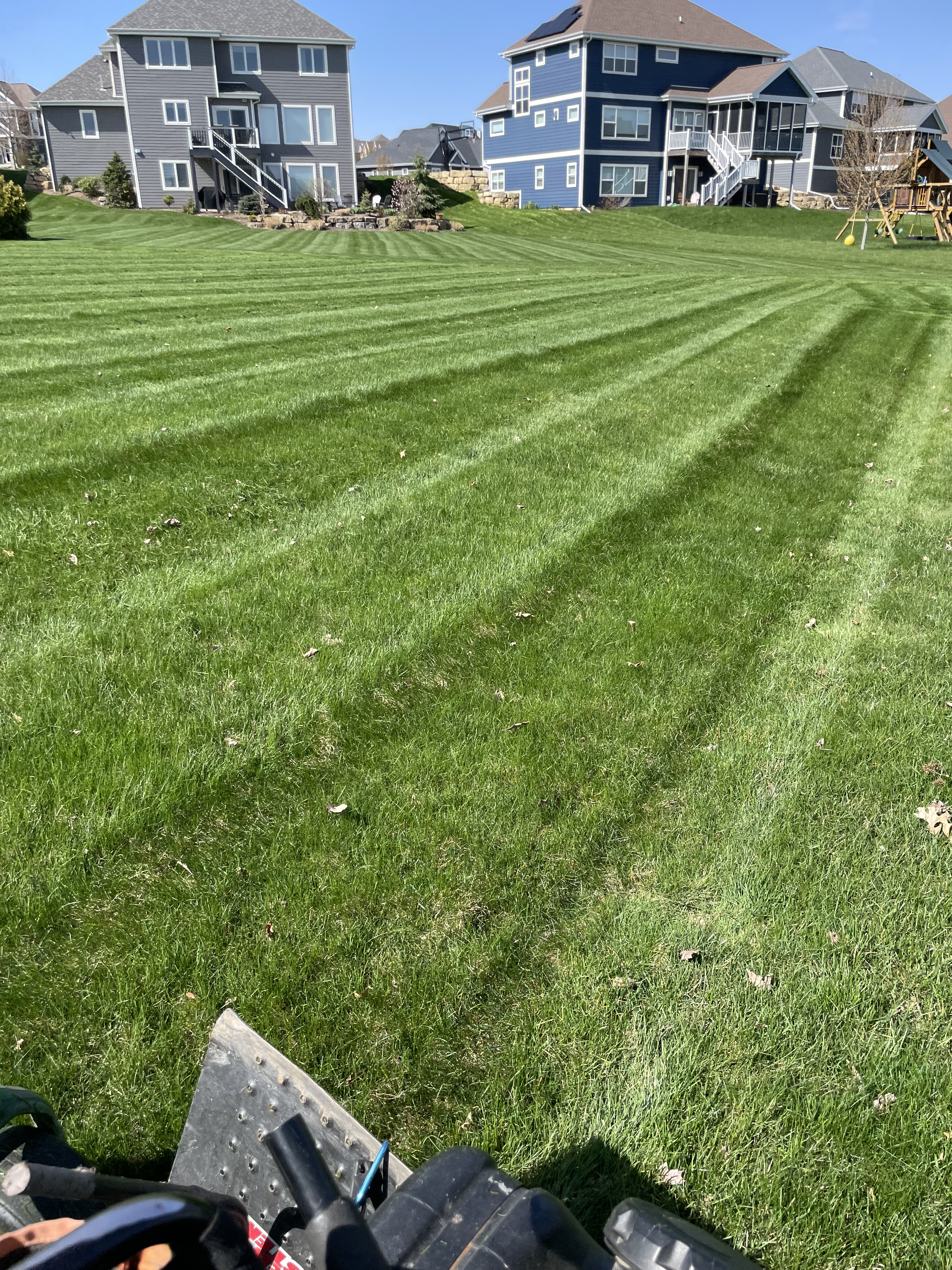 Well-manicured lawn showcasing the results of our lawn care services